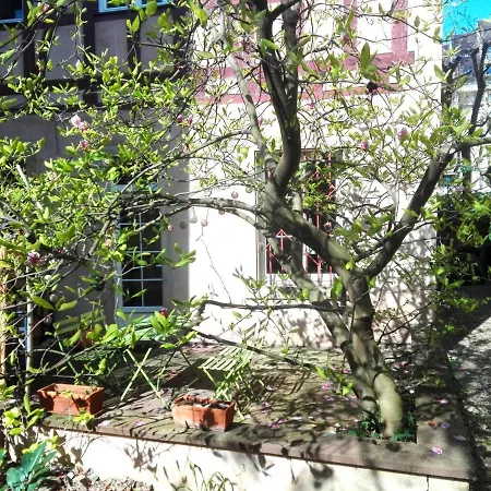 Petite France Avec Terrasse * Strasbourg
