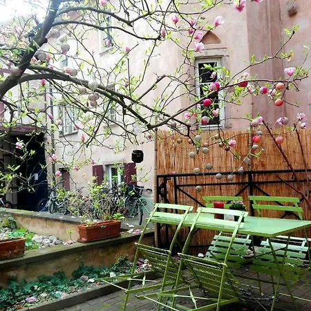 Apartment Petite France Avec Terrasse *
