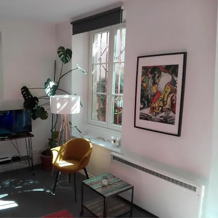 Apartment Petite France Avec Terrasse Strasbourg