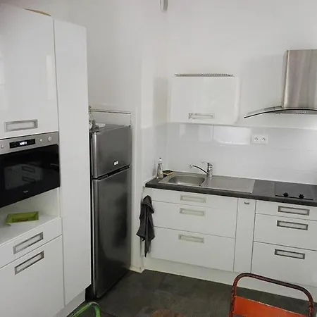 Appartamento Petite France Avec Terrasse Strasburgo